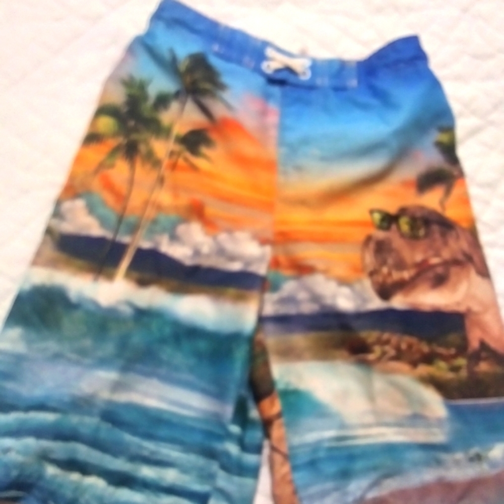 OP Dinosaur Boys 8m Swim Trunks